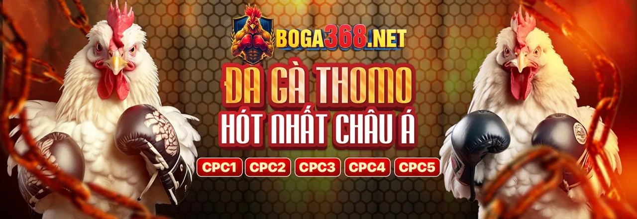 Sân vận động bóng đá với logo 90ok thể thao và hiệu ứng ánh sáng xanh vàng, thể hiện cá cược thể thao trực tuyến sôi động.